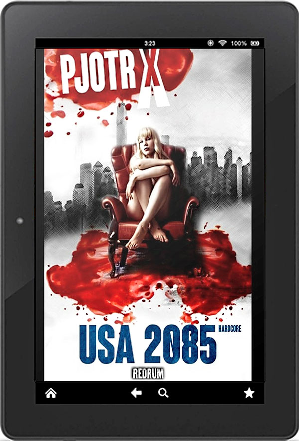 Cover USA 2085 Reader